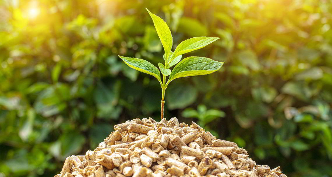 pellets_ecologico Pellets ecológicos