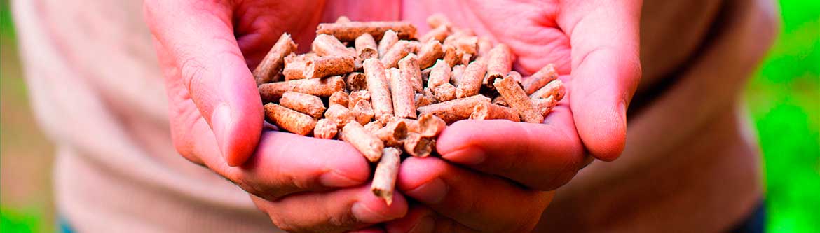 calefaccion-con-pellets calefacción con pellets